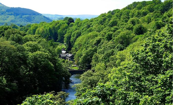 A view from the Pontcysyllte Aqueduct of the river Dee, edged by an endless sea of Trees.